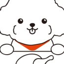 댕냥이키친 이미지