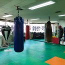 다윗복싱클럽 이미지