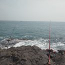 이영희민박 이미지