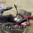 카페;사계절