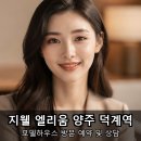 새마을식당양주회천지구점 | 양주 덕계동 아파트 분양 지웰 엘리움 덕계역 청약해도 될까요