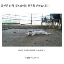 따봉 이미지