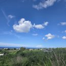 에스테이하우스 이미지