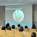 전남대학교 동물병원 이미지