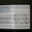 패랭이공원 이미지