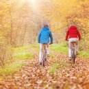 건강한 운동 이미지