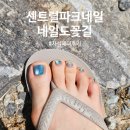 센트럴파크네일 네일도꽃길에서 여름맞이 자석패디 재방문 후기
