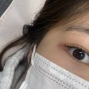 11650-1-10-605 | 축 쳐진 힘없는 속눈썹 [눈썹쟁이]에서 영양 듬뿍 채우고 펌 받은 솔직 후기 ✨