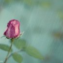 나의 궁합 알아보기.. 이미지