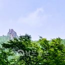 카페별서정원 이미지