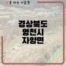 천문대공인중개사사무소 이미지