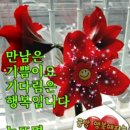 오늘테라피 - 전주시 완산구 | 오늘테라피