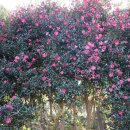 우정카정비 | 제주도렌트카 타고 떠난 우정여행! 제주에서 보낸 찐 우정의 시간