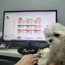 조이메디컬 이미지