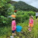 자미농장 이미지