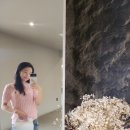 세종 금남면 야외 브런치카페 이룰, 사진찍기 좋은 곳! 베이커리도 꿀맛!