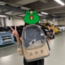 동탄중앙동물병원 이미지