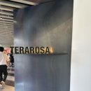 케이크미술관 | 종로) 테라로사 국립현대미술관 내 카페 테라로사 케이크와 커피후기