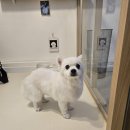 멍빨털빨 이미지