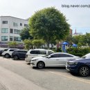 네일소프티