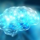 화이트짐 청계점 이미지