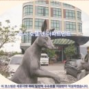 록시호텔 이미지