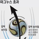 마그누스