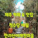 와포햇살 영농조합법인 | 제주 카페 청수당 애월 &amp; 메밀맛집 한라산아래첫마을 with 신라스테이 이호테우