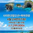 플레이오션(26) Daum카페