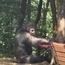 달성공원 동물병원 이미지