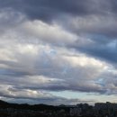 그림그림미술학원 - 성남시 분당구 판교로 445 | 그림그림미술학원