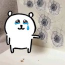 사랑해 이제 사랑하는 거에 이유는 없어 | 더보이즈 콘서트 제너레이션2 첫•중콘 후기
