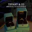 코코앤벨 | 백화점 웨딩밴드 투어 꿀팁 8개 브랜드 둘러보고 티파니앤코 구매 착용샷