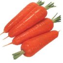 건강백세 이미지