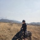 송동 | [충주] 괴산 네이쳐 승마 올해 첫 외승/송동코스 후기/산악 외승