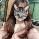 가예미용실 이미지