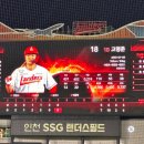 광장19호 | 인천SSG랜더스필드 - 1루 덕아웃상단석 7블록 직관 후기 (25시즌 홈 경기 마지막 직관 / 랜더스필드...