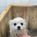 슈앤트리 이미지