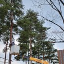 나래솔공원 이미지