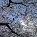 글라라의집 이미지