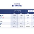 프로덴탈 이미지