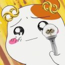 컴백이라는거 이렇게 행복한거였냐