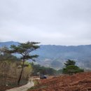 죽곡농장 이미지