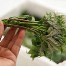 동해종묘사 이미지