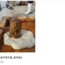 명품꽃마을 이미지