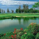 넥서스그린 이미지