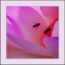 차를 좋아하는 사람들 이미지