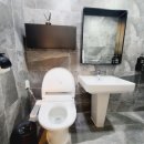 플레이독애견풀빌라 이미지