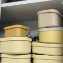 당신의약국 | 냉동밥 용기, 환경호르몬이 걱정된다면? 리빙크리에이터 푸쉬락(지켜락)