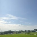 세이프존(보령점) | 보령 머드축제 2023 가? 말아? 머드축제부터 대천해수욕장 + 조개구이, 각종 정보 꿀팁까지